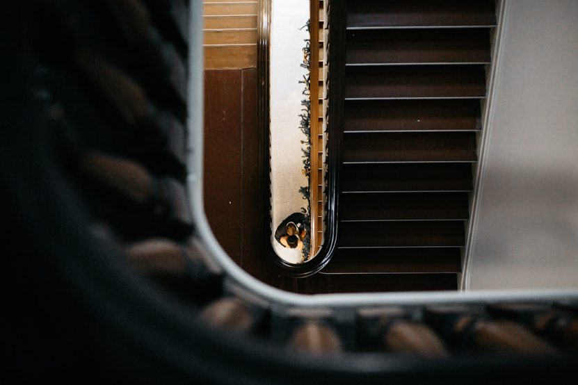 Philadelphia Wedding- TZ-29