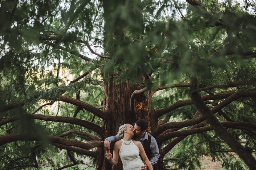 brookside-gardens-silverspring-md-engagement-18