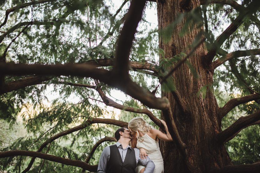 brookside-gardens-silverspring-md-engagement-21