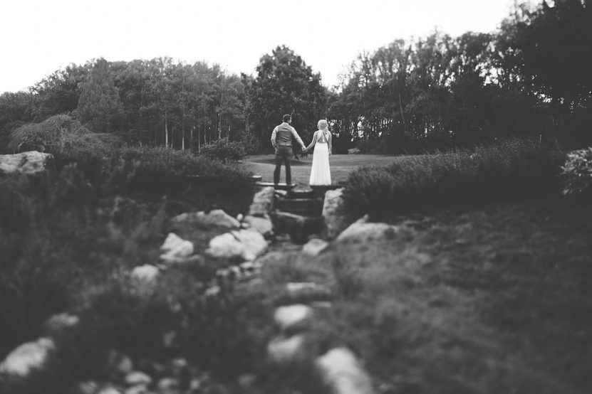 brookside-gardens-silverspring-md-engagement-43