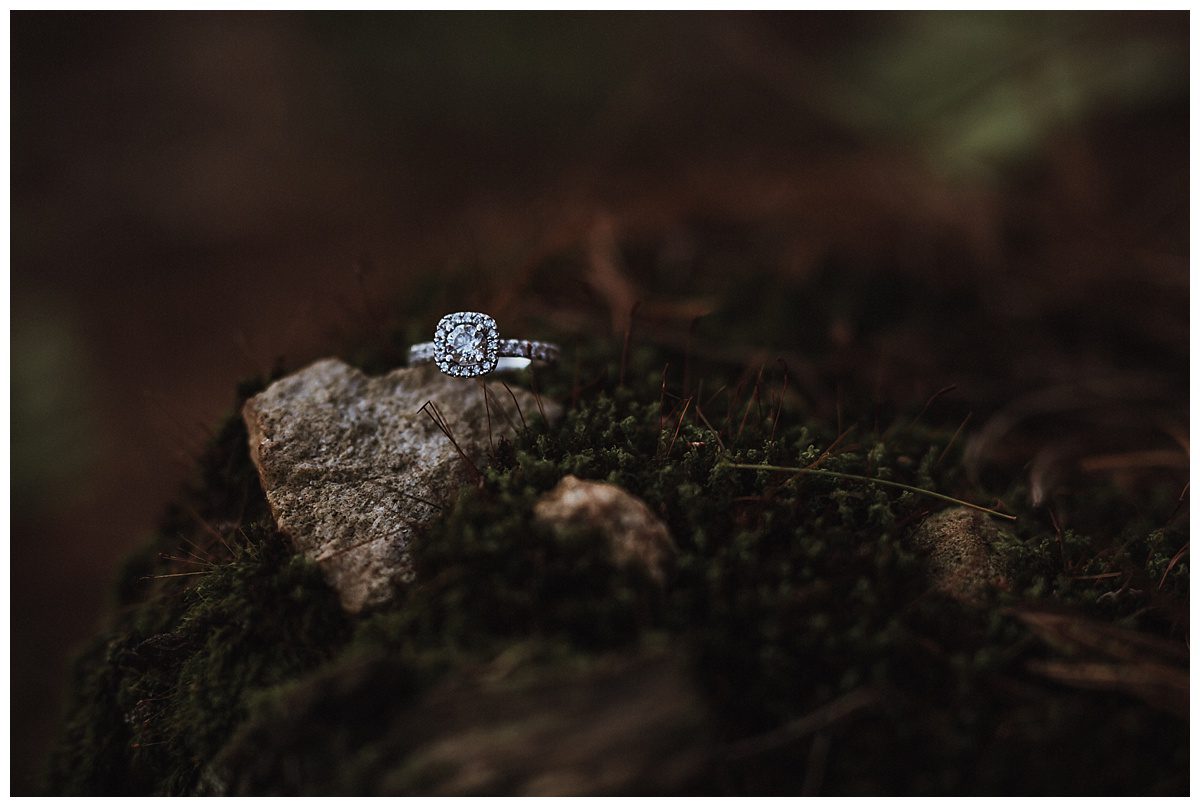 2017-05-30_0018.jpg 2017-05-30_0018.jpg