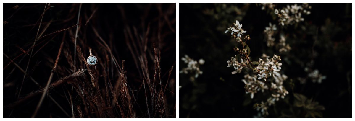 Shenandoah National Park Engagement Session