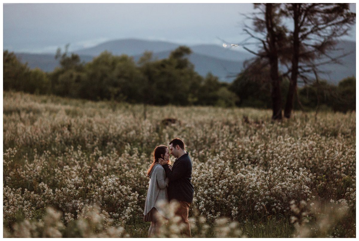 Shenandoah National Park Engagement Session