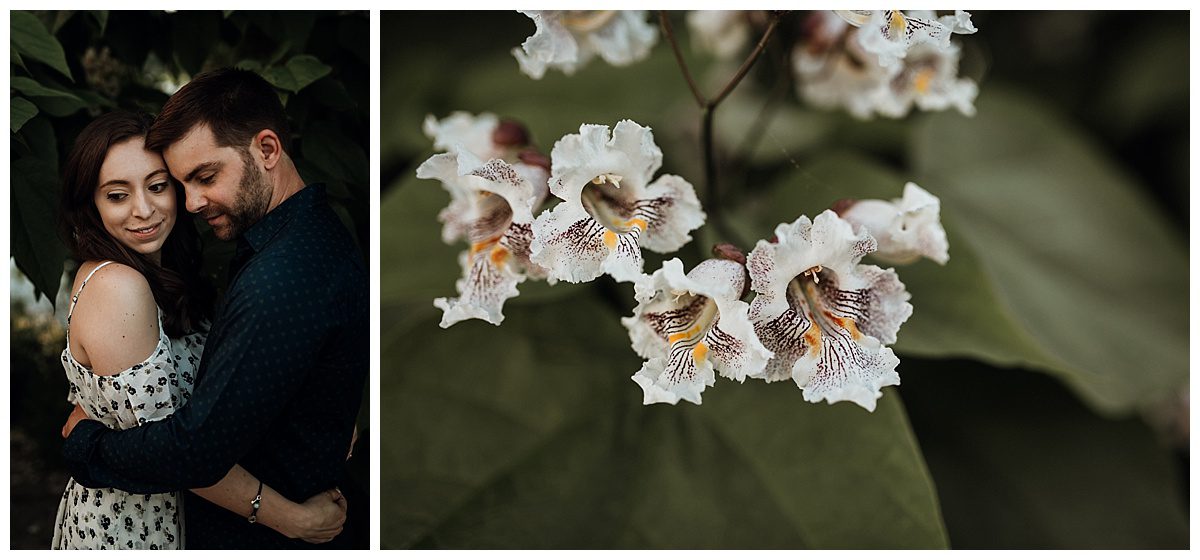 2017-06-20_0028.jpg 2017-06-20_0028.jpg