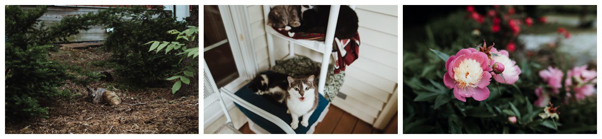 Battlefield Bed & Breakfast Wedding,Battlefield Bed and Breakfast,Gettysburg Wedding Photographer,