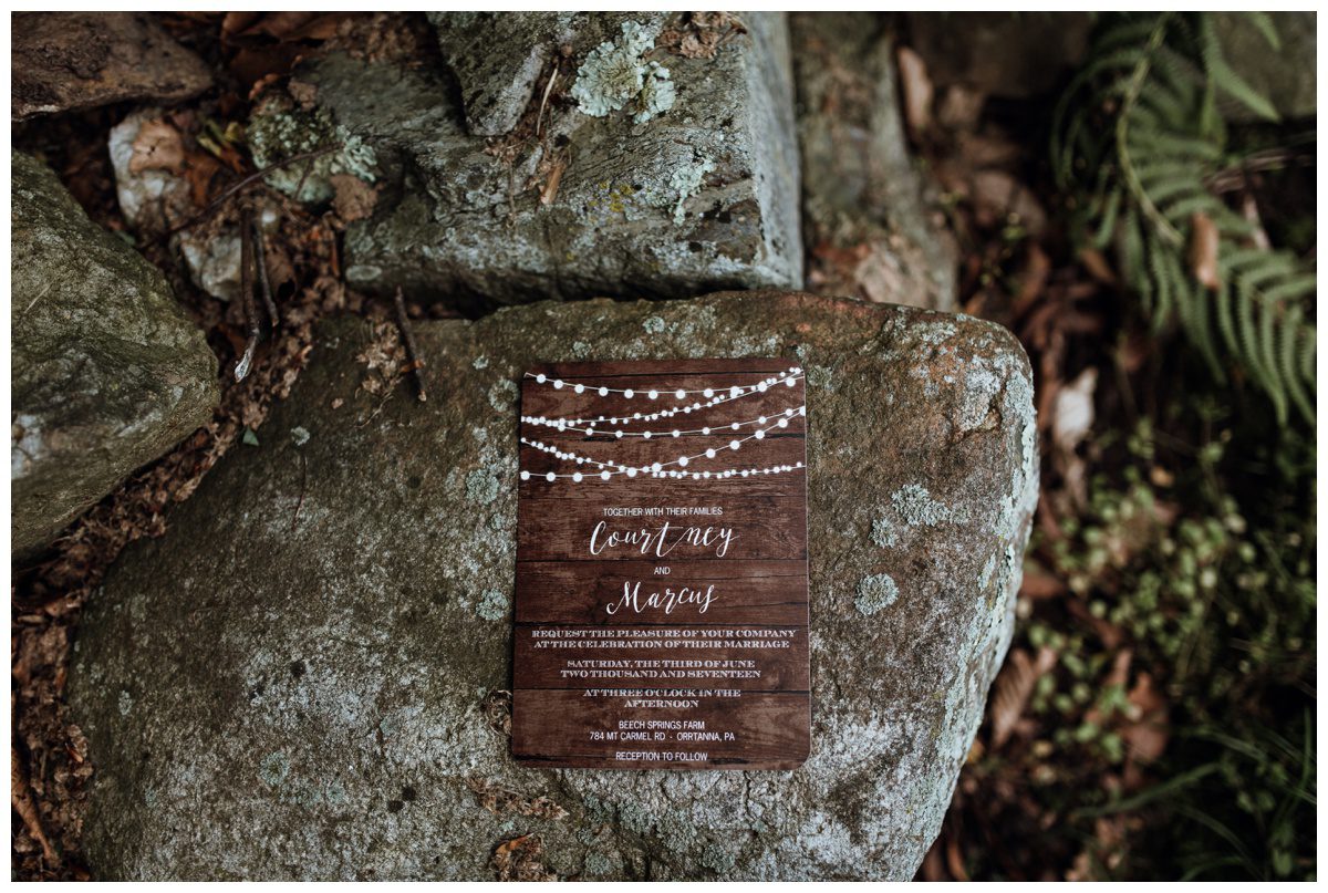 Beech Spring Farms Wedding Beech Spring Farms Wedding