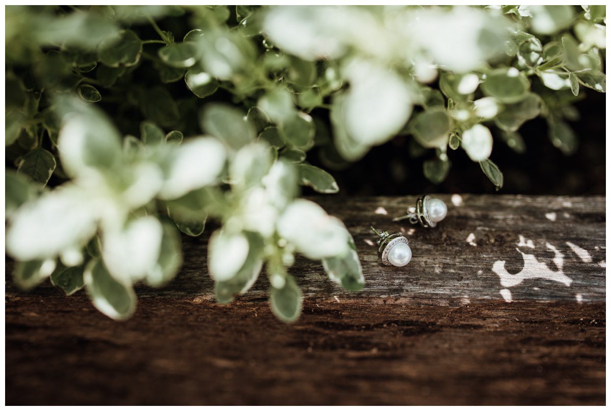 Beech Spring Farms Wedding Beech Spring Farms Wedding