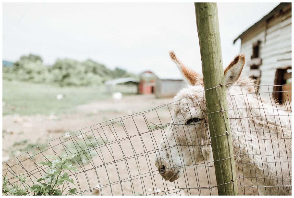 Erin-David-RoundBarn Gettysburg Wedding-109.jpg Erin-David-RoundBarn Gettysburg Wedding-109.jpg
