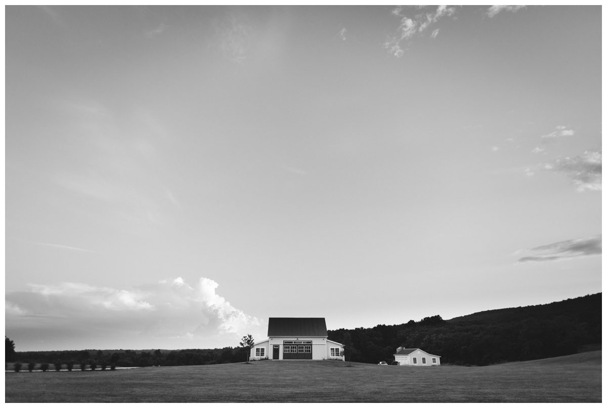 Lavendar Field Wedding Photos, Springfield Manor, Maryland Wedding Photographer, Frederick Wedding Photographer