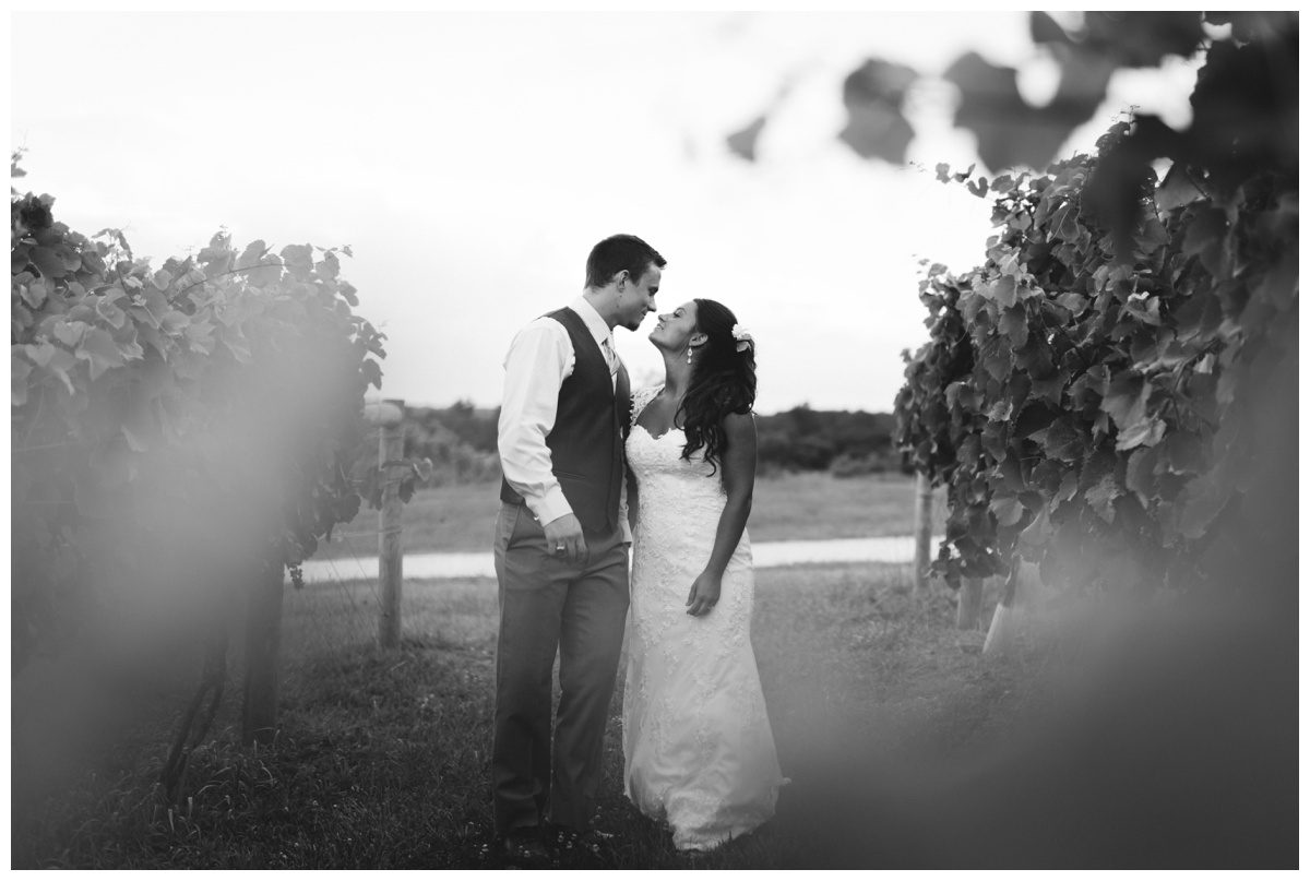 Lavendar Field Wedding Photos, Springfield Manor, Maryland Wedding Photographer, Frederick Wedding Photographer