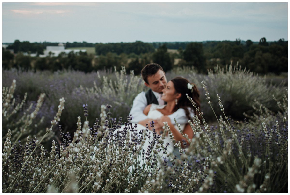 Lavendar Field Wedding Photos, Springfield Manor, Maryland Wedding Photographer, Frederick Wedding Photographer