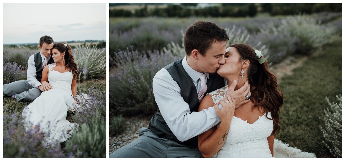 Lavendar Field Wedding Photos, Springfield Manor, Maryland Wedding Photographer, Frederick Wedding Photographer