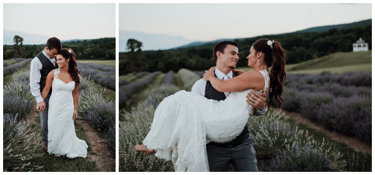 Lavendar Field Wedding Photos, Springfield Manor, Maryland Wedding Photographer, Frederick Wedding Photographer