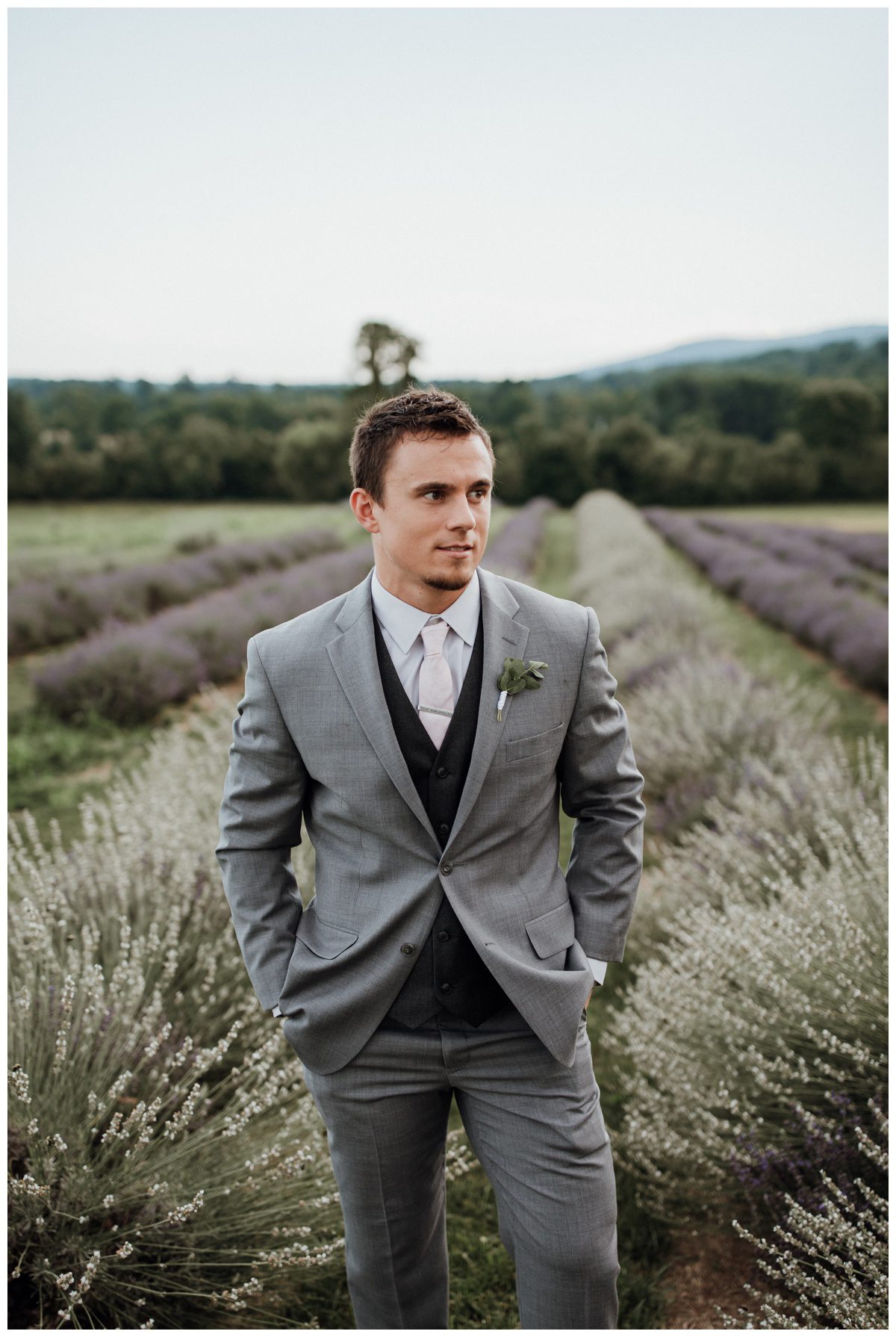 Lavendar Field Wedding Photos, Springfield Manor, Maryland Wedding Photographer, Frederick Wedding Photographer