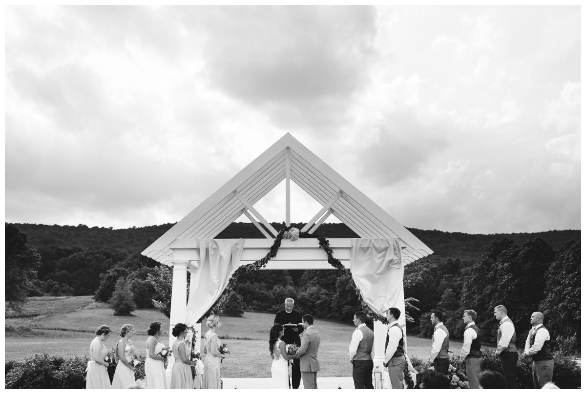 Lavendar Field Wedding Photos, Springfield Manor, Maryland Wedding Photographer, Frederick Wedding Photographer