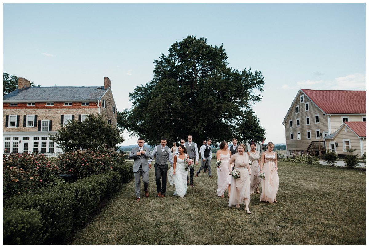 Lavendar Field Wedding Photos, Springfield Manor, Maryland Wedding Photographer, Frederick Wedding Photographer