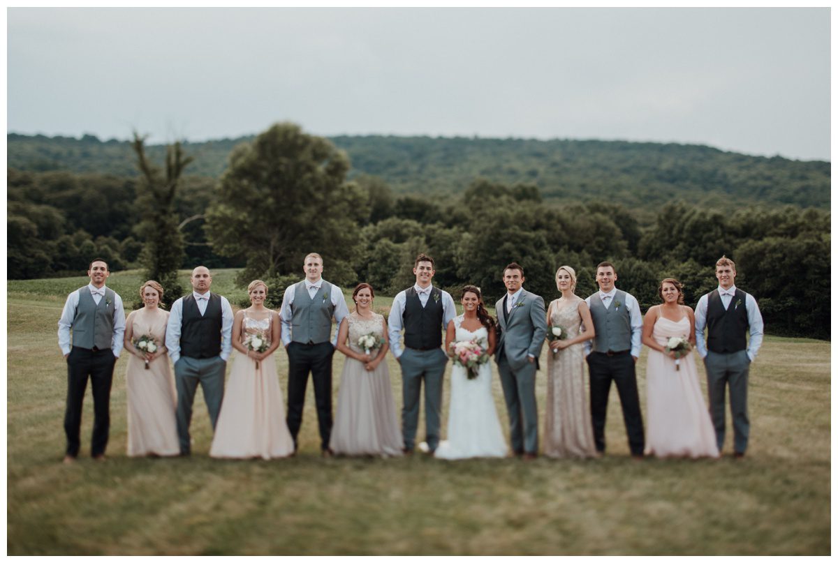 Lavendar Field Wedding Photos, Springfield Manor, Maryland Wedding Photographer, Frederick Wedding Photographer