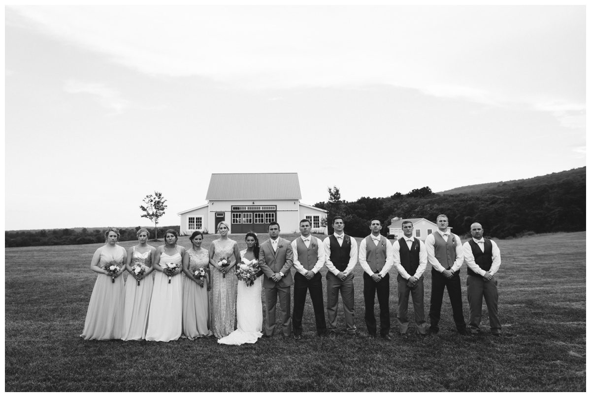 Lavendar Field Wedding Photos, Springfield Manor, Maryland Wedding Photographer, Frederick Wedding Photographer