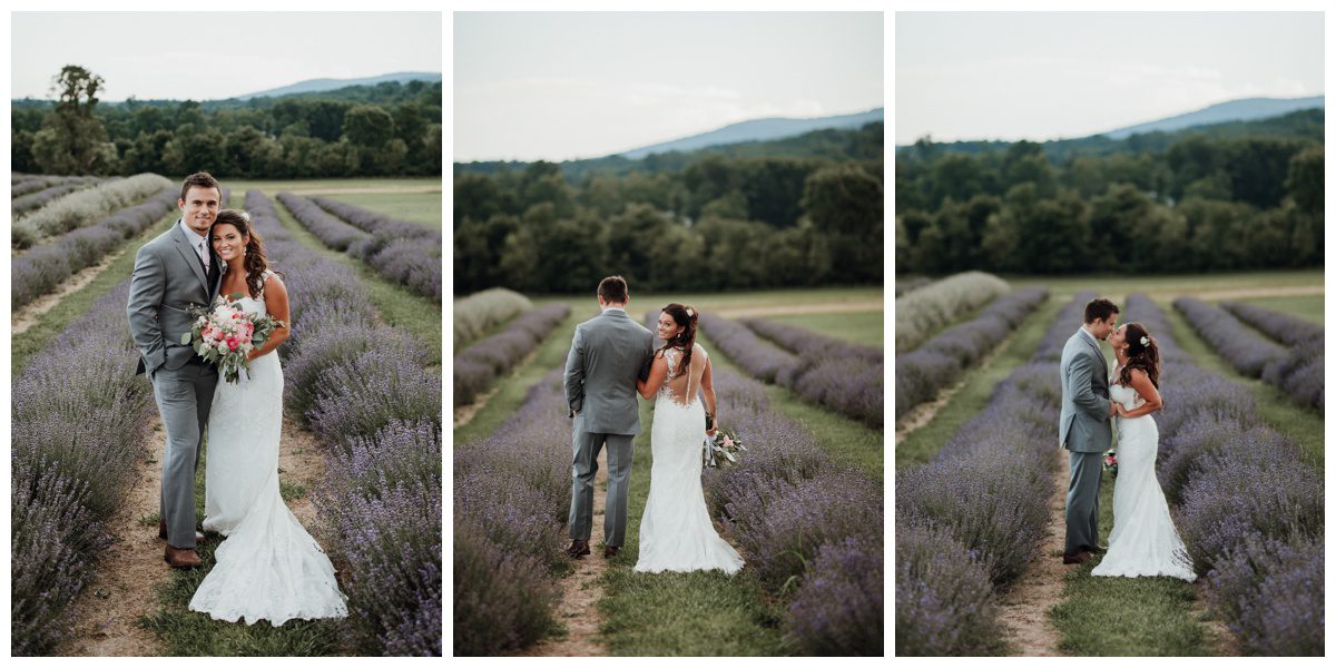 Lavendar Field Wedding Photos, Springfield Manor, Maryland Wedding Photographer, Frederick Wedding Photographer