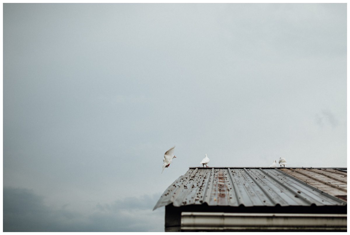 Green Hill Farms Wedding, Maryland Wedding Photographer, Green Hill Farm Sharpsburg