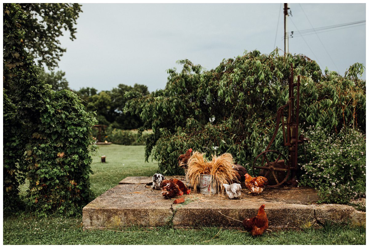 Green Hill Farms Wedding, Maryland Wedding Photographer, Green Hill Farm Sharpsburg