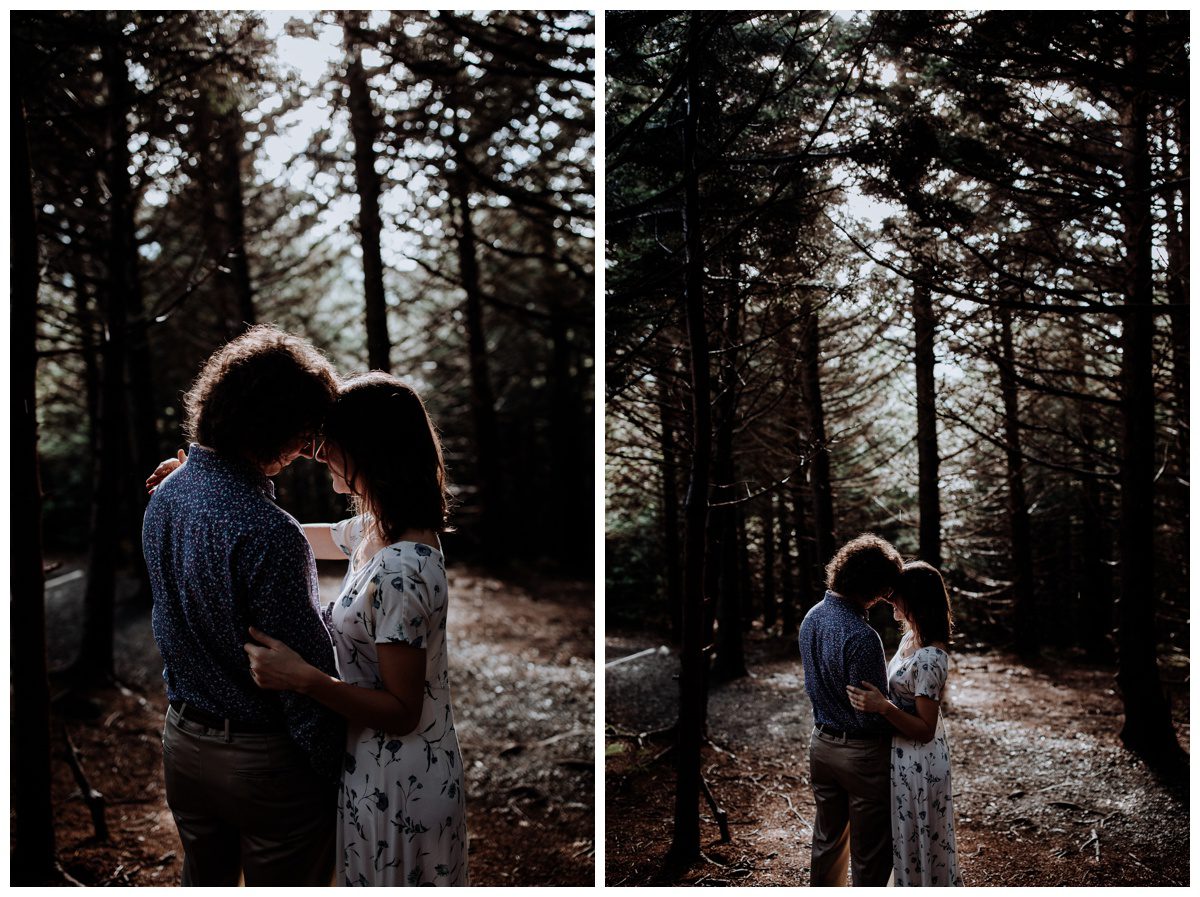 Roan Mountain Tennesee Engagement, Roan Mountain Engagement, Tennessee Wedding Photographer