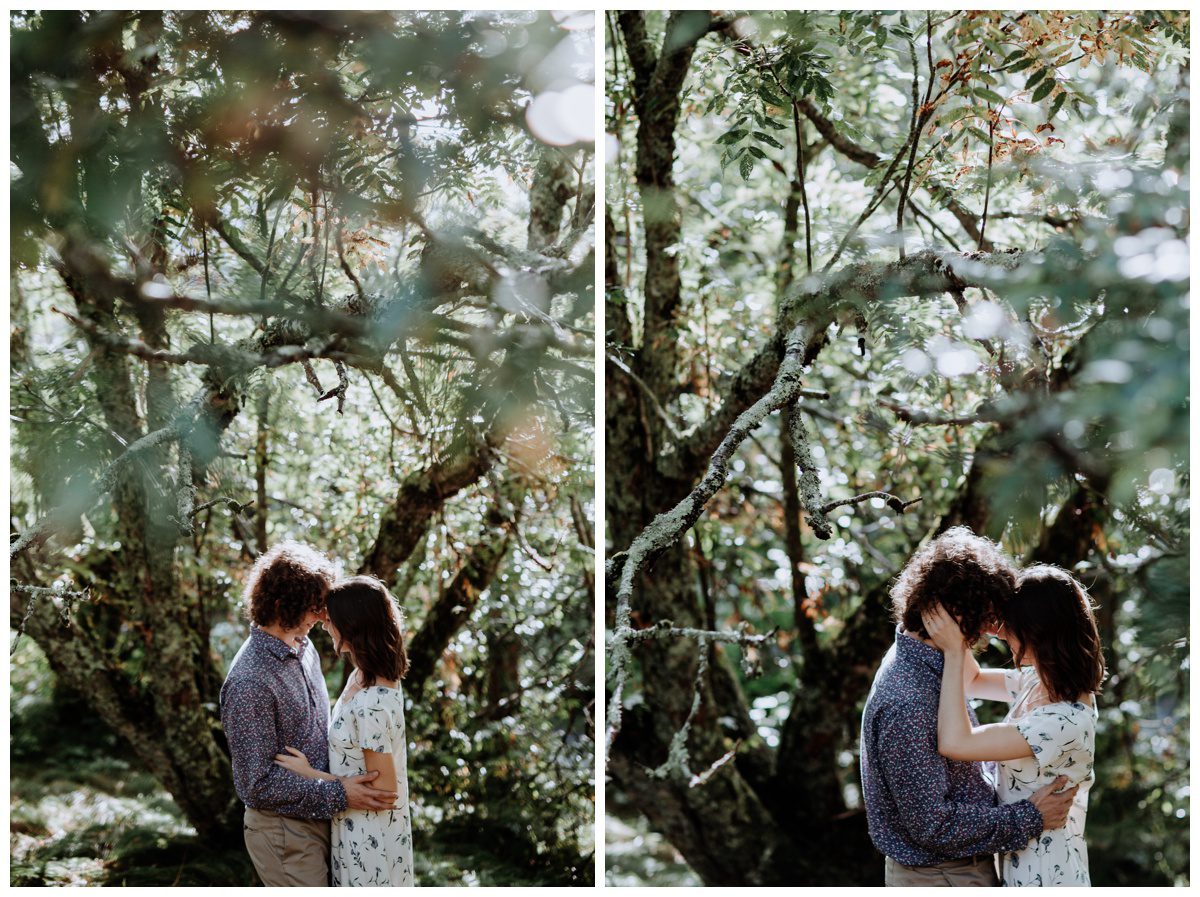 Roan Mountain Tennesee Engagement, Roan Mountain Engagement, Tennessee Wedding Photographer