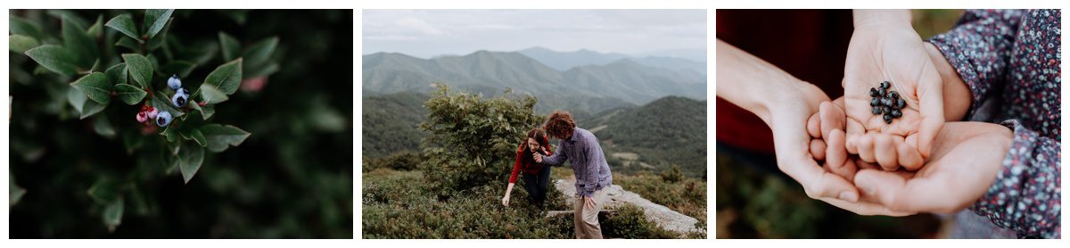 Roan Mountain Tennesee Engagement, Roan Mountain Engagement, Tennessee Wedding Photographer