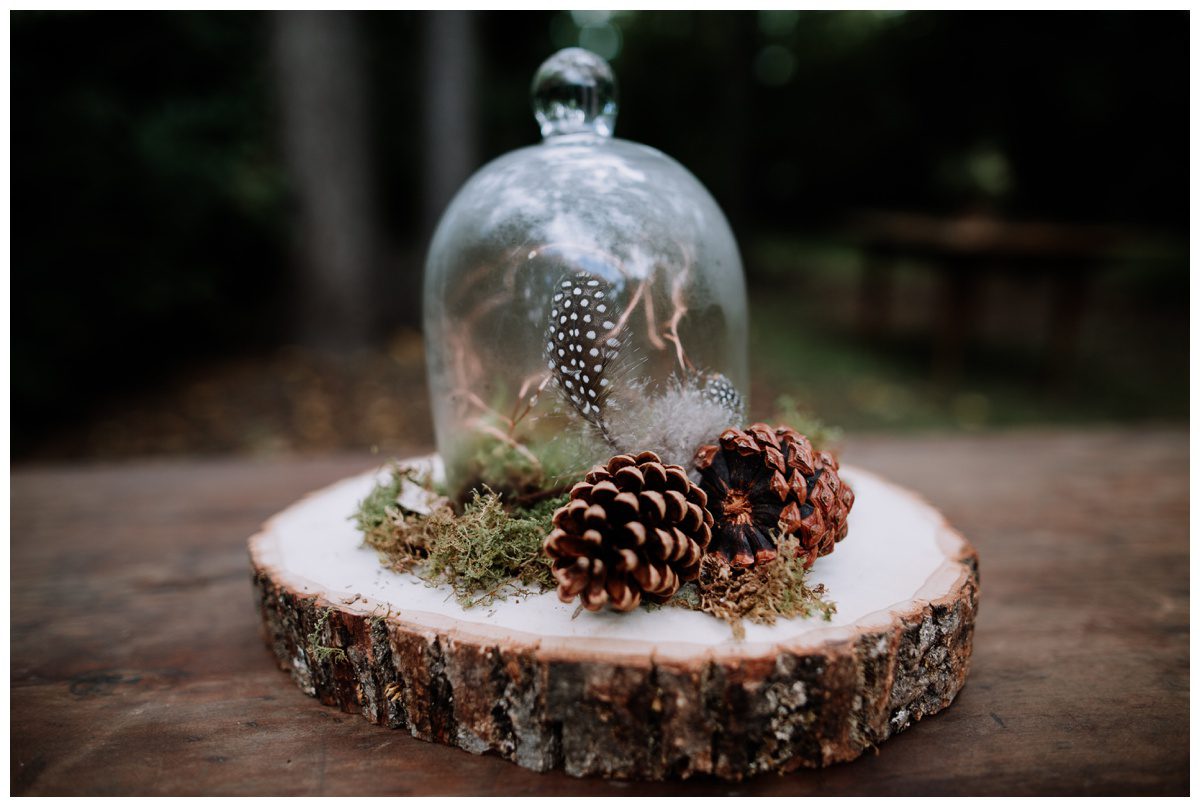 2017-10-06_0104.jpg 2017-10-06_0104.jpg