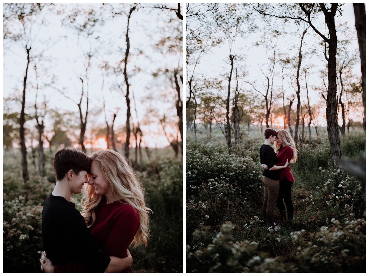shenandoah photoshoot, shenandoah engagement, shenandoah national park engagement