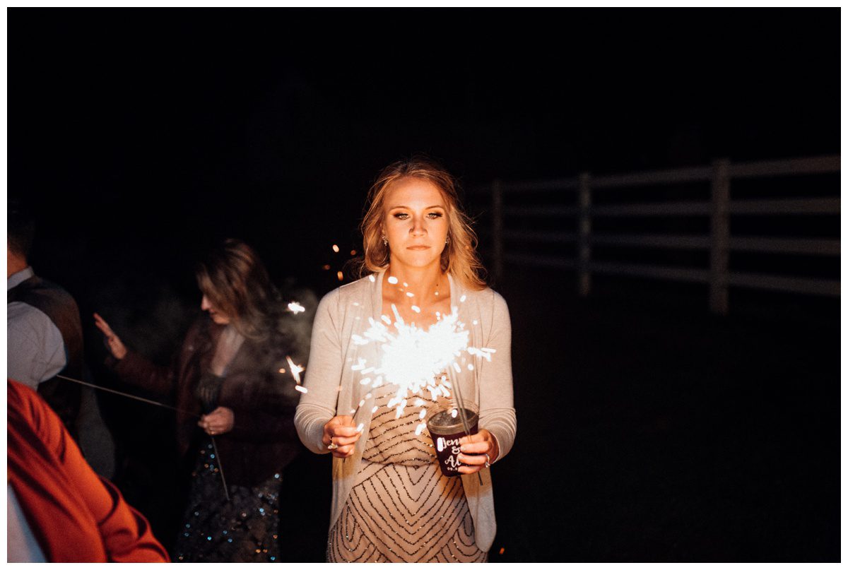 Historic Round Barn Gettysburg Wedding-238.jpg