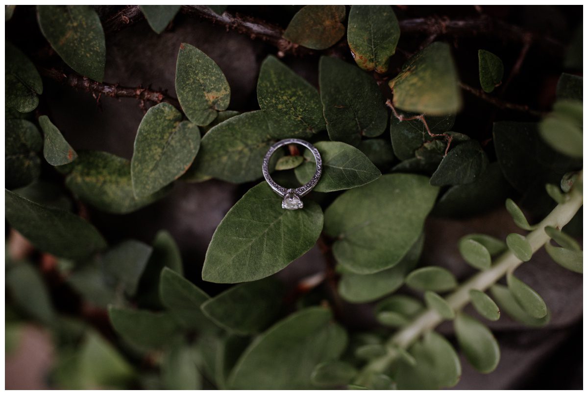 Codorus State Park, Senior Photos, Hanover Photographer