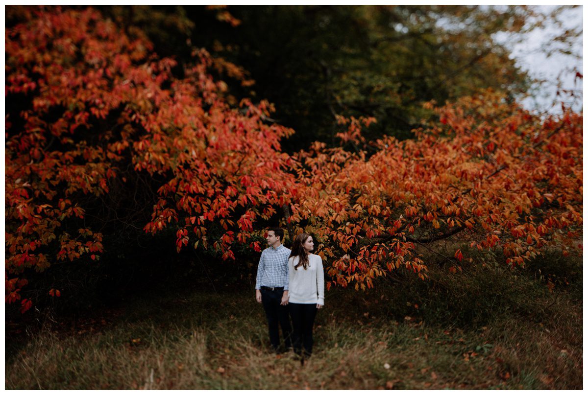 Valley Forge Engagement Photographer-34.jpg