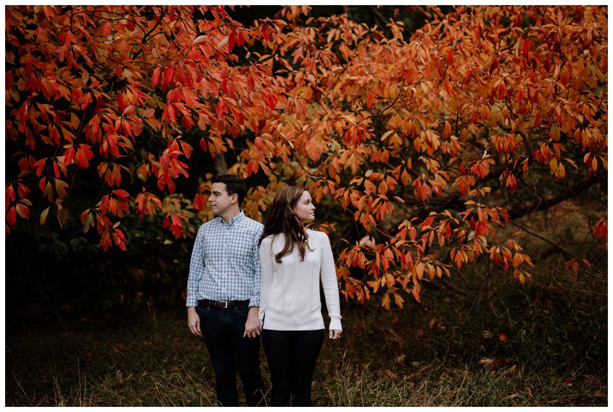 Valley Forge Engagement Photographer-35.jpg