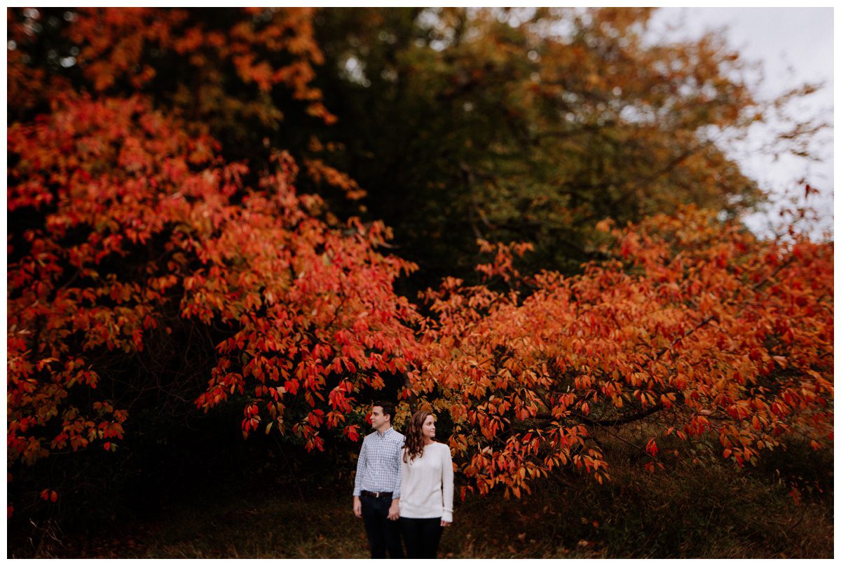 Valley Forge Engagement Photographer-36.jpg