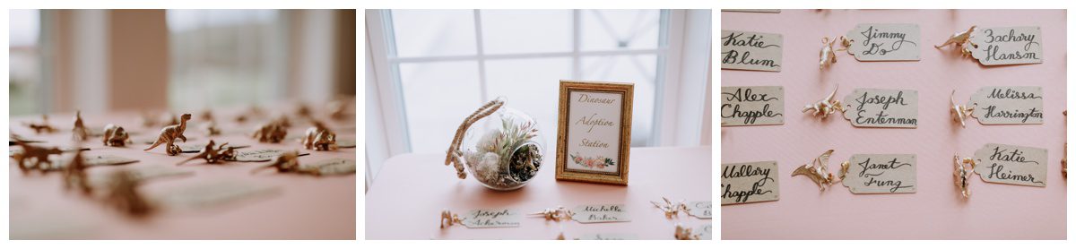 Springfield Manor Wedding