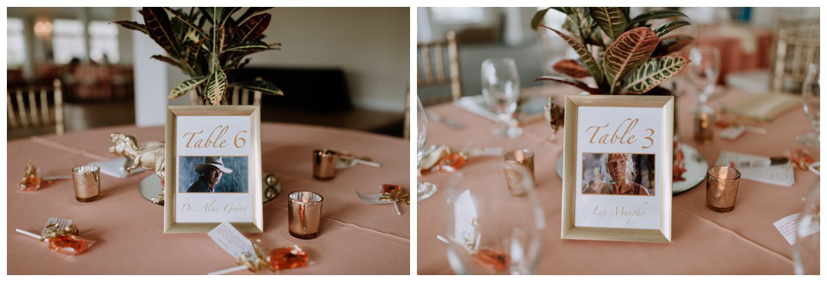 Springfield Manor Wedding