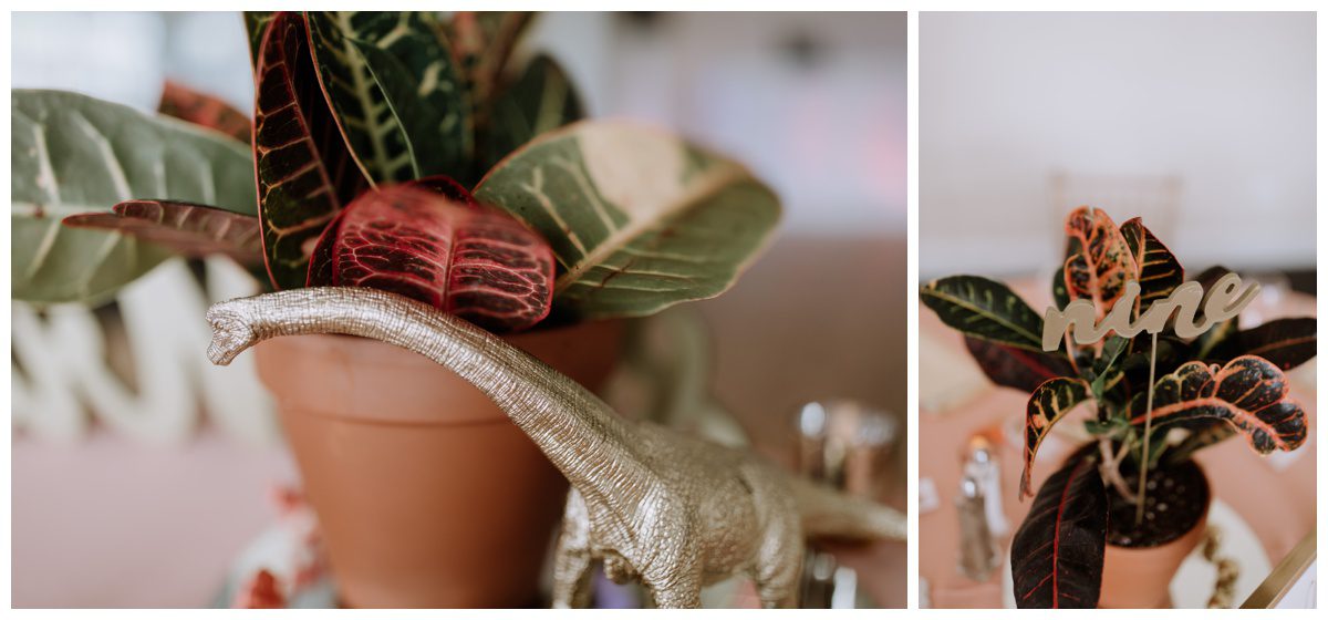 Springfield Manor Wedding