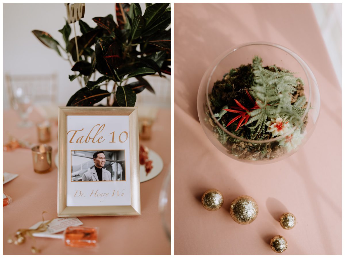 Springfield Manor Wedding