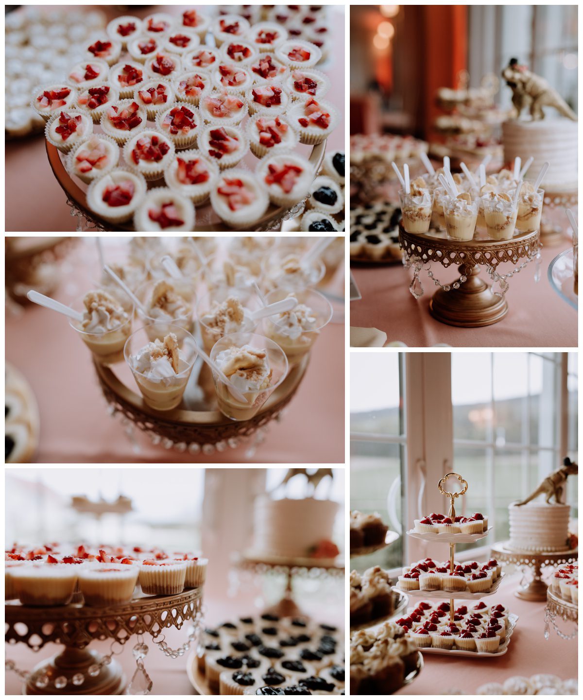 Springfield Manor Wedding