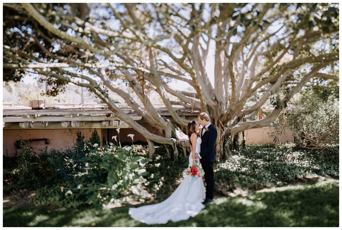 Rancho Valencia Wedding, San Diego Wedding, California Wedding