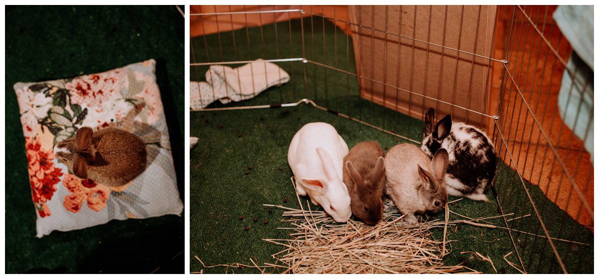 Rancho Valencia Wedding, San Diego Wedding, California Wedding