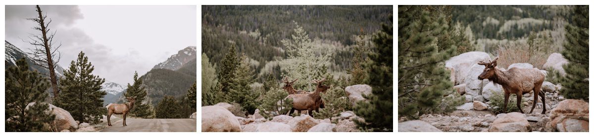 Rocky Mountain National Park Engagement