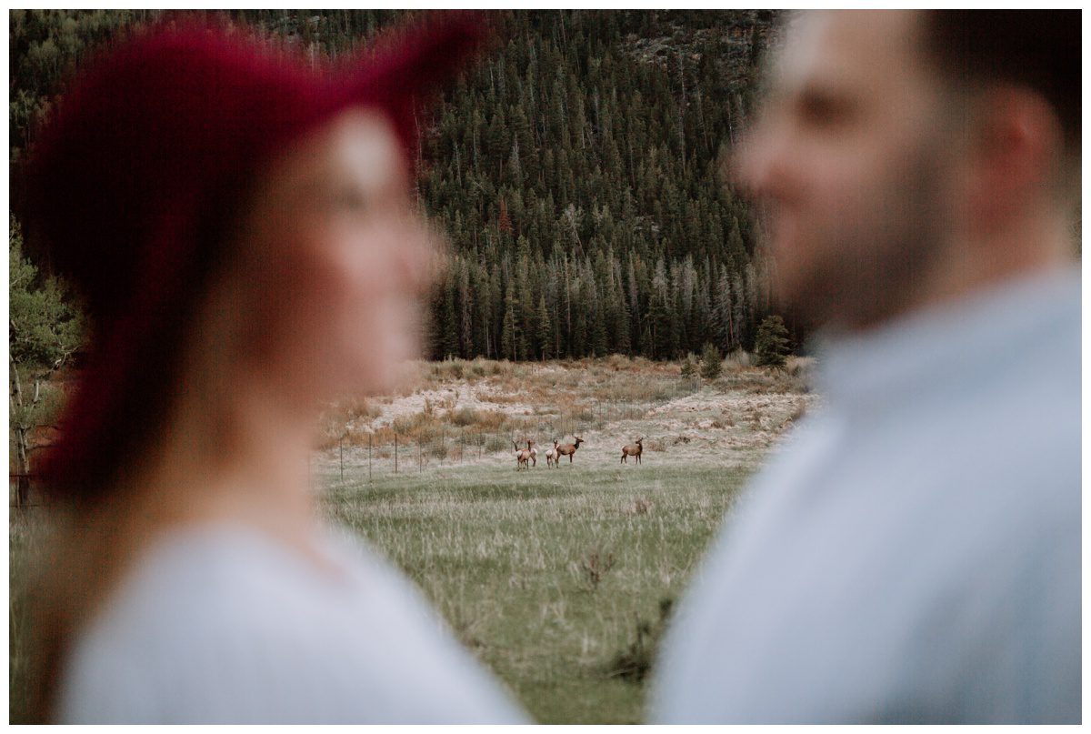 Rocky Mountain National Park Engagement