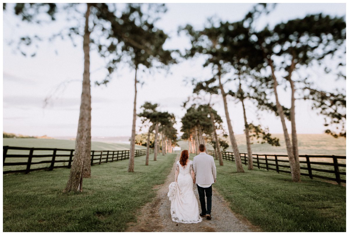 2018-07-26_0062.jpg 2018-07-26_0062.jpg