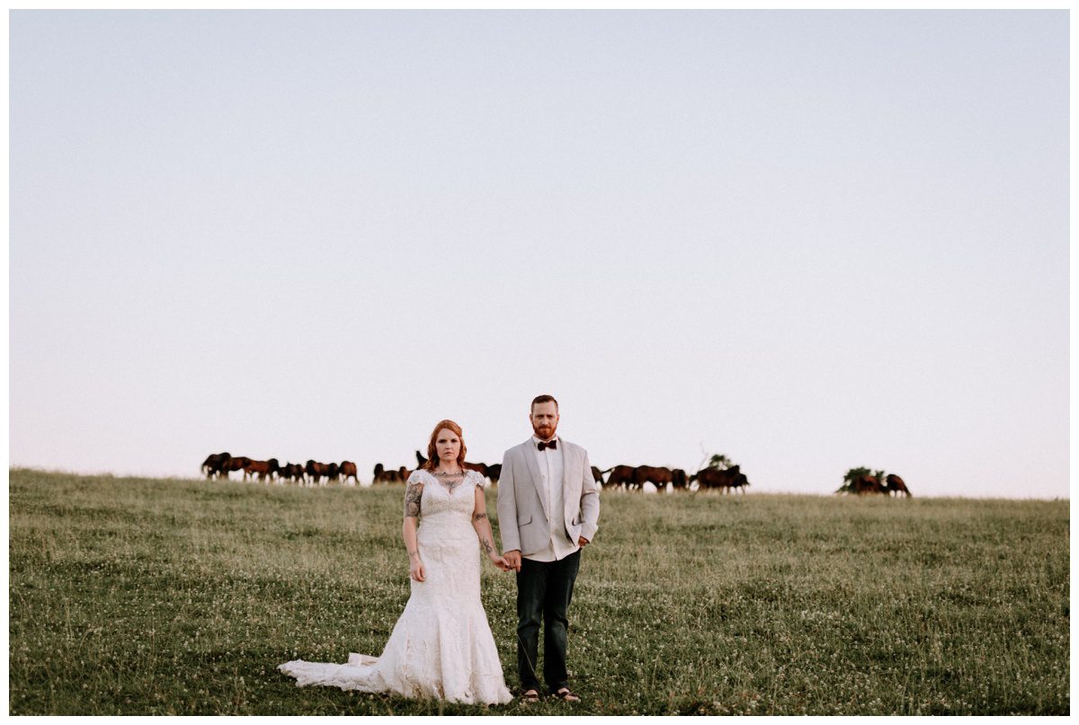 2018-07-26_0094.jpg 2018-07-26_0094.jpg