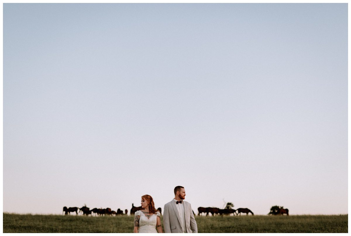 2018-07-26_0096.jpg 2018-07-26_0096.jpg