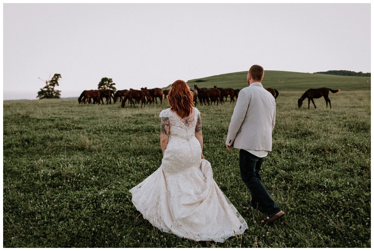 2018-07-26_0100.jpg 2018-07-26_0100.jpg