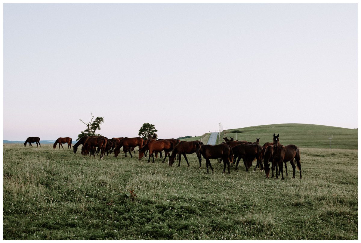 2018-07-26_0102.jpg 2018-07-26_0102.jpg