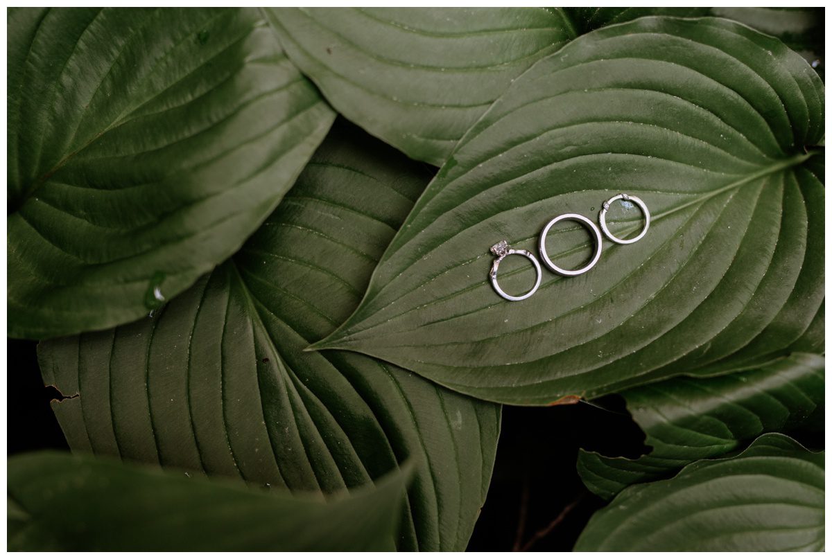 Winterthur Mansion & Gardens Wedding, Winterthur Wedding, Philadelphia Wedding, Garden Wedding